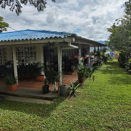 Villa Monica Montenegro Eksteriør billede